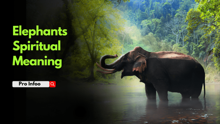 Elephants Spiritual Meaning