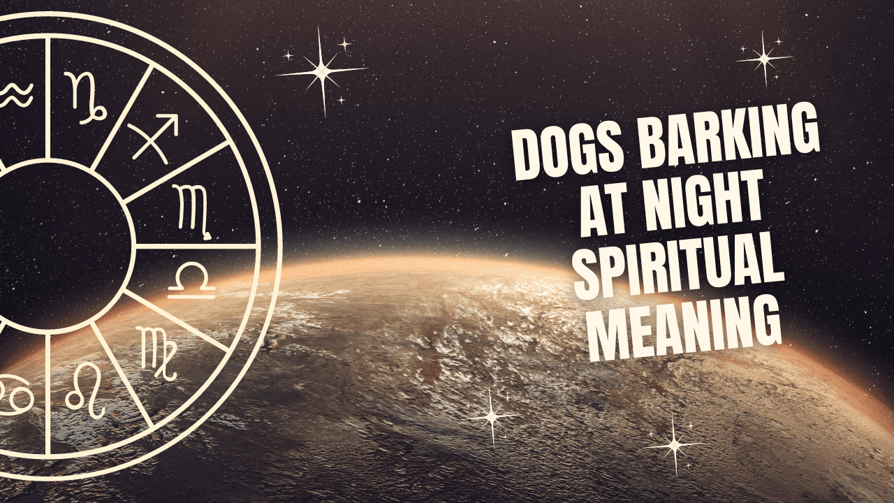 Dogs Barking At Night Spiritual Meaning