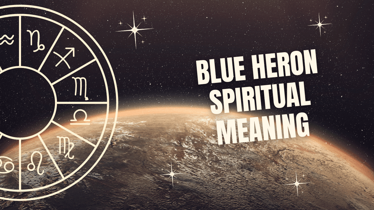 Blue Heron Spiritual Meaning