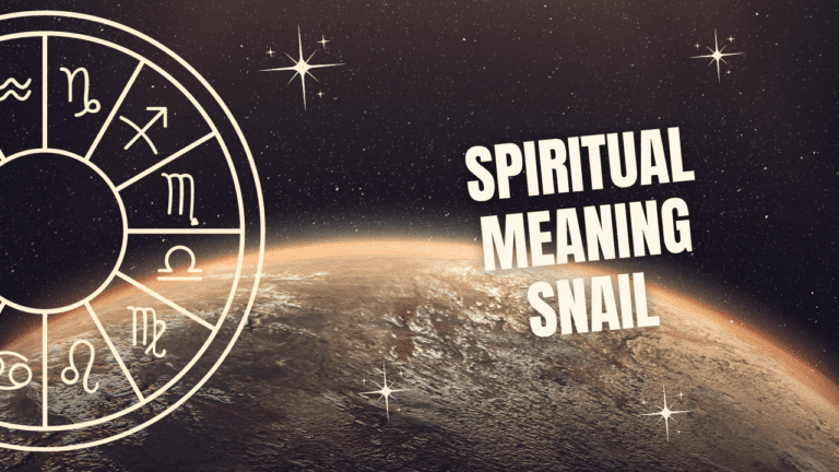 Spiritual Meaning Snail