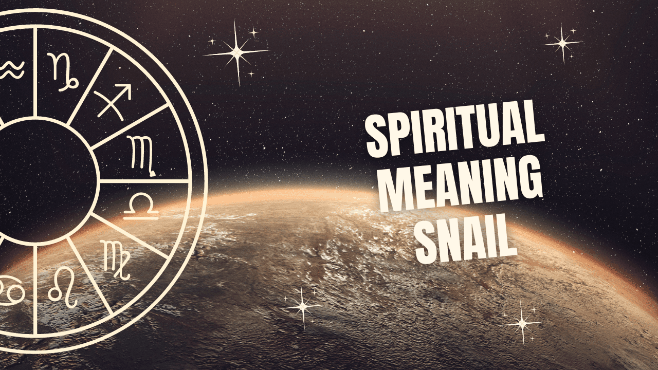 Spiritual Meaning Snail