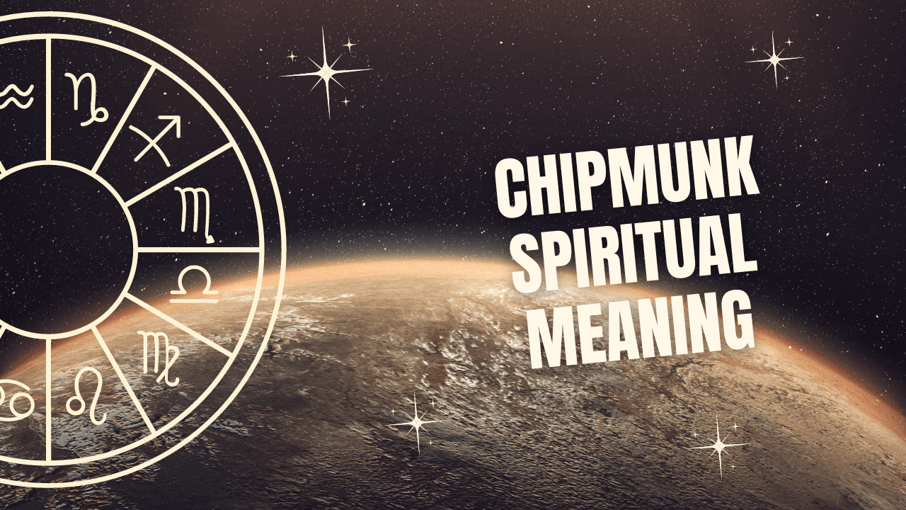 Chipmunk Spiritual Meaning