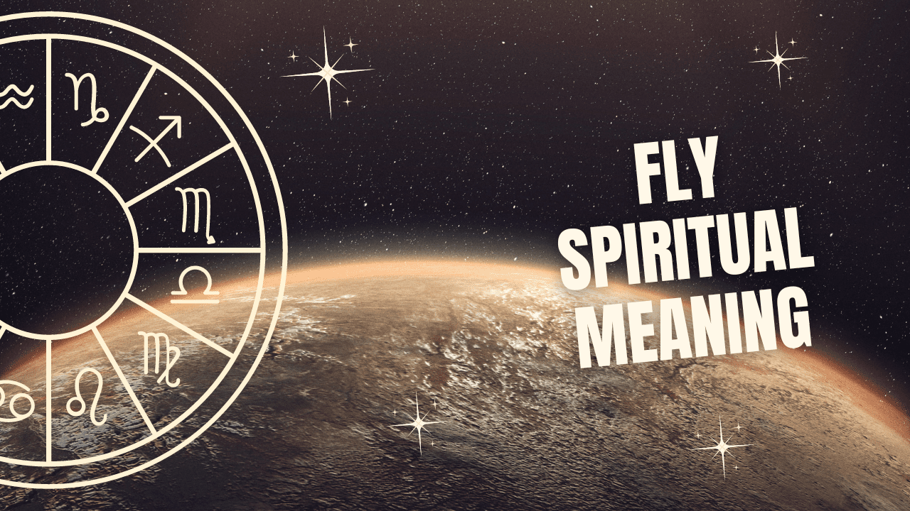 Fly Spiritual Meaning