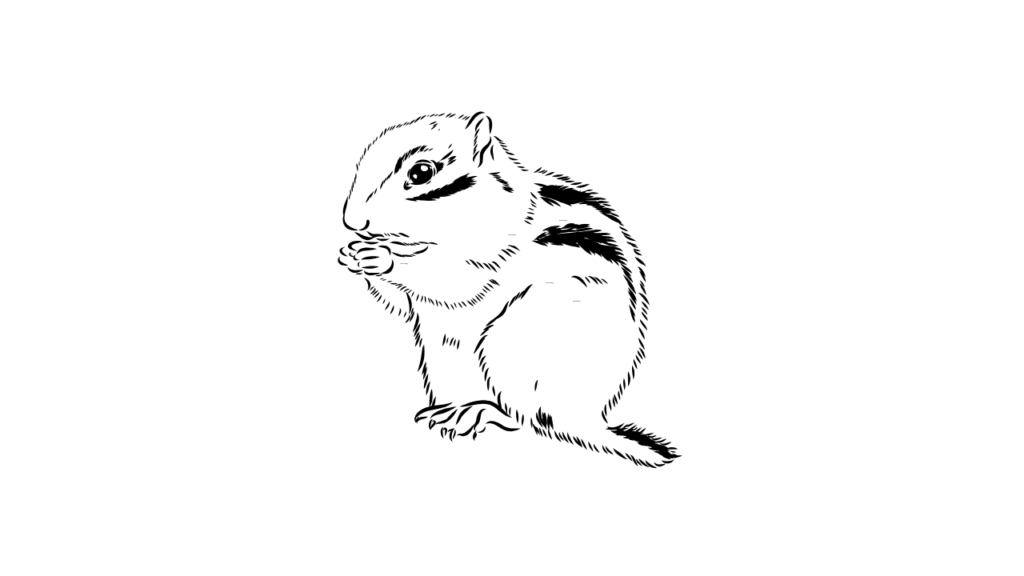 Chipmunk Spiritual Meaning