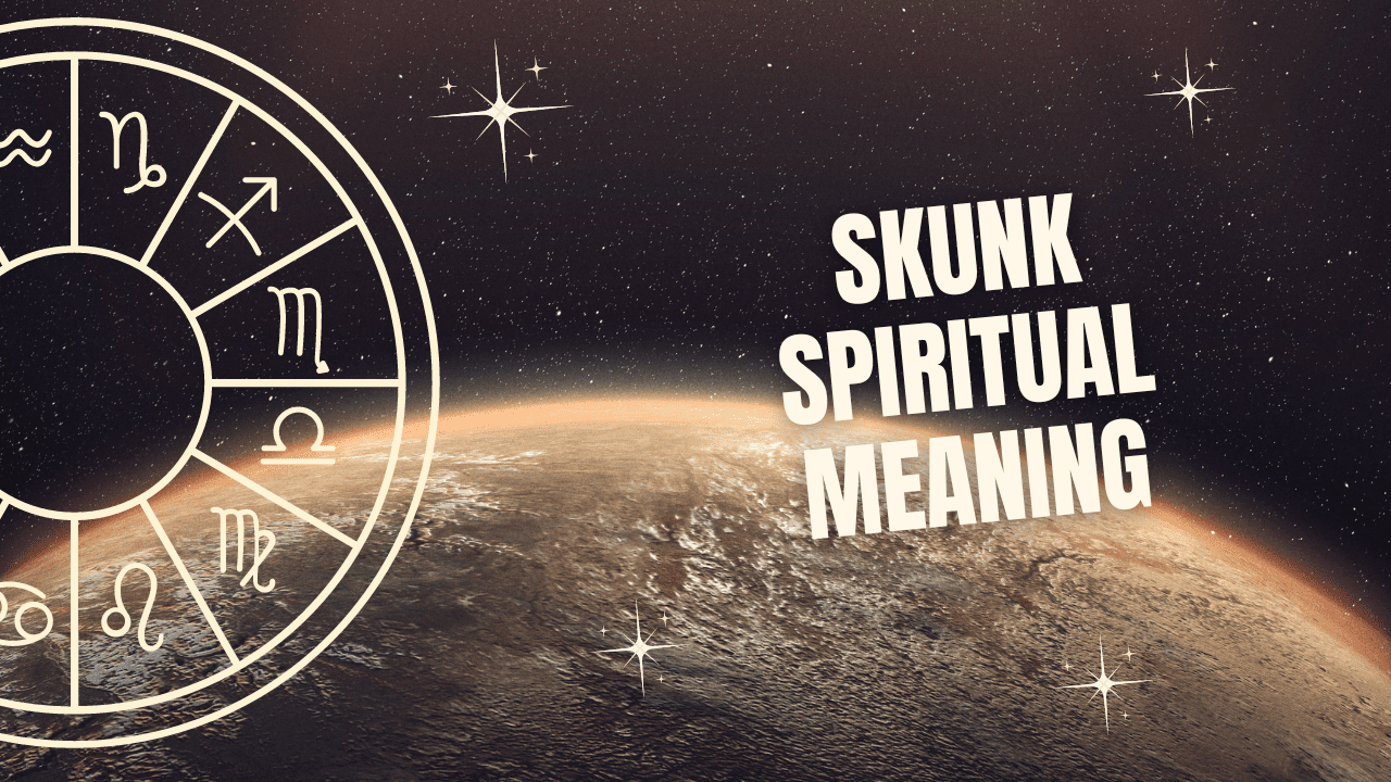 Skunk Spiritual Meaning