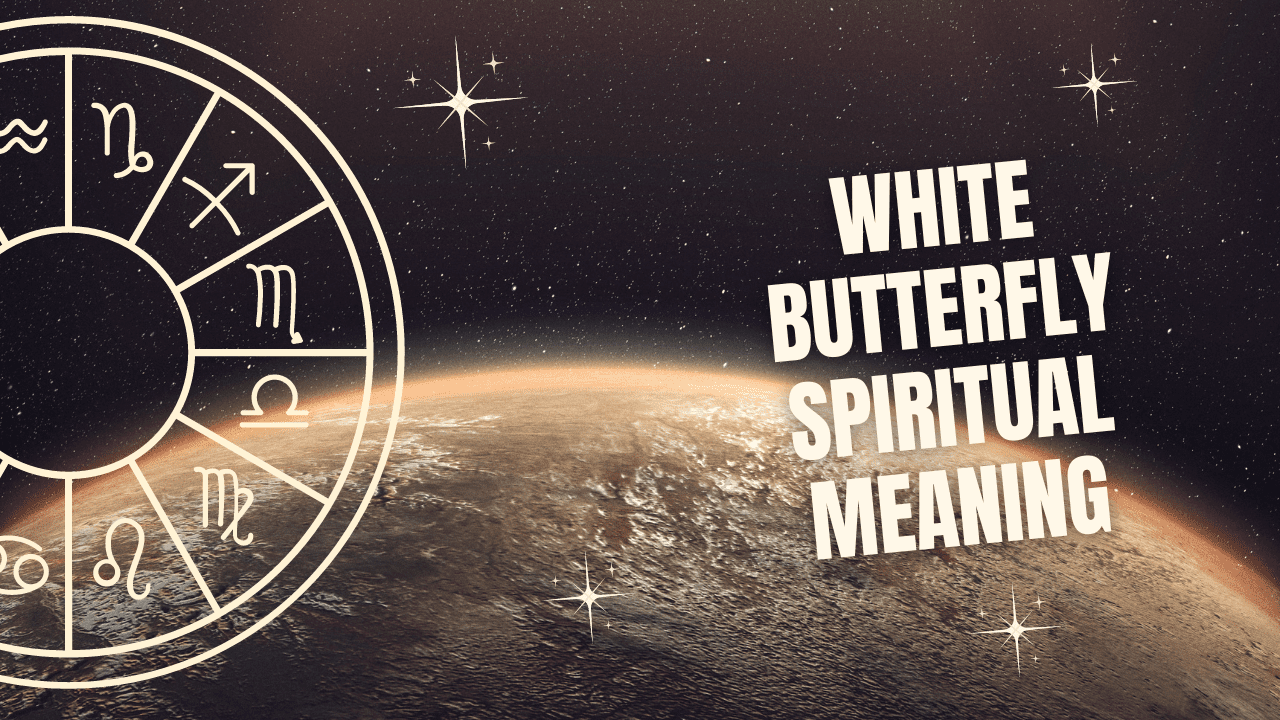 White Butterfly Spiritual Meaning