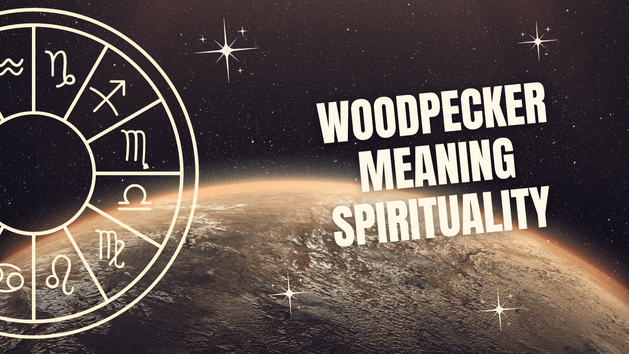 Woodpecker Meaning Spirituality