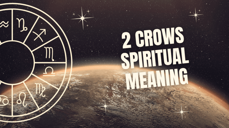 2 Crows Spiritual Meaning