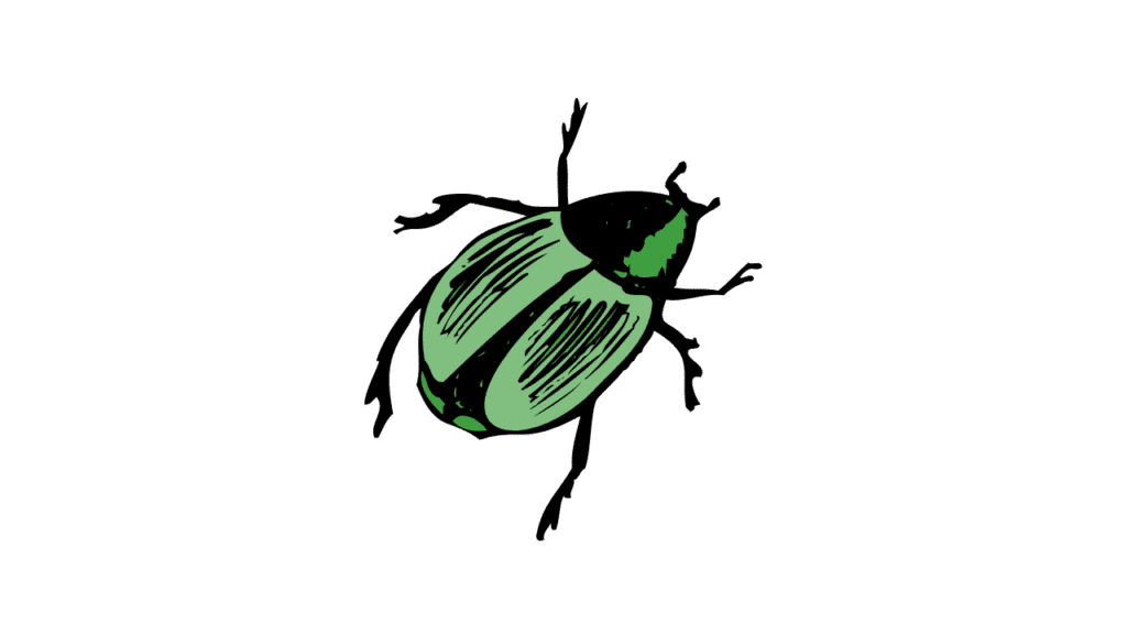 June Bug Spiritual Meaning