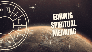 Earwig Spiritual Meaning