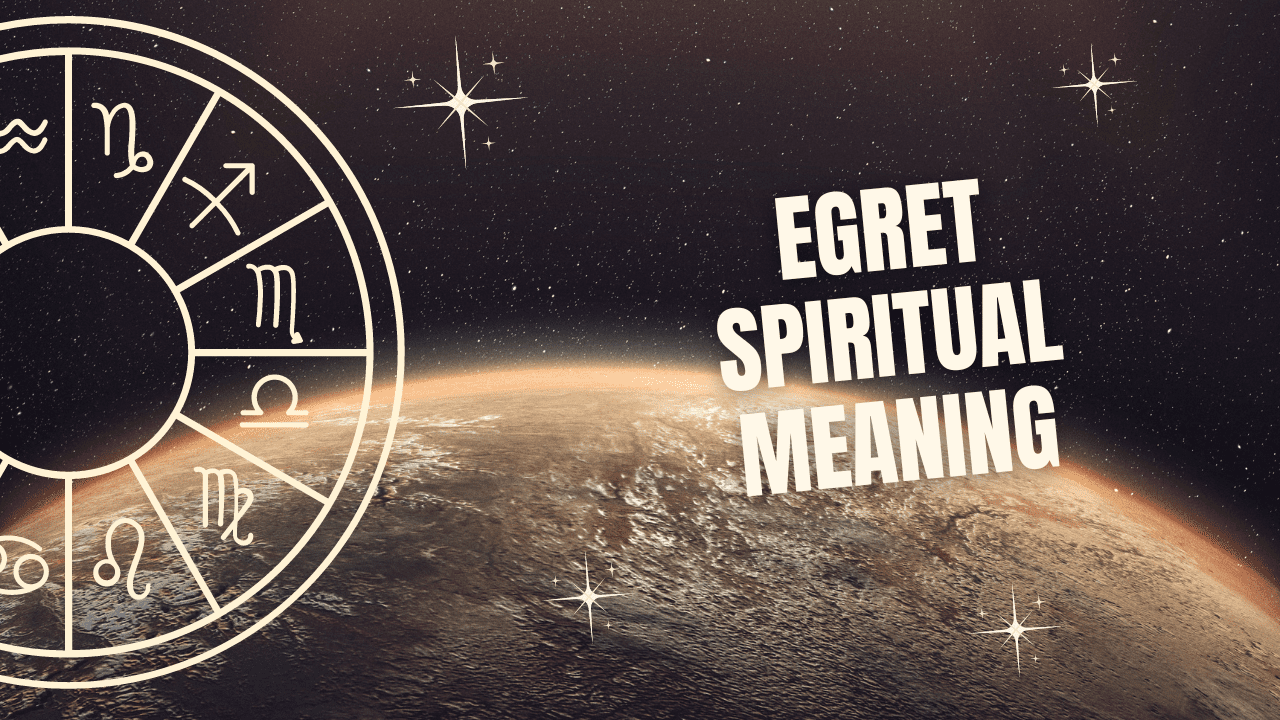 Egret Spiritual Meaning