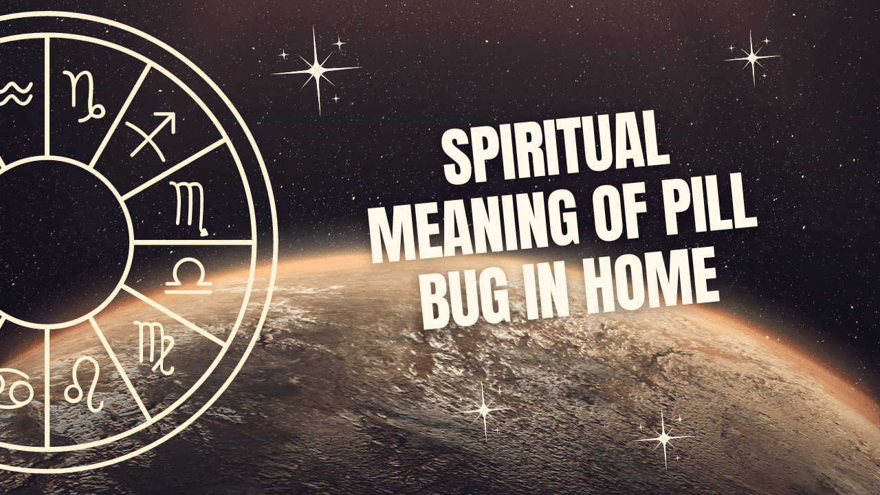 Spiritual Meaning Of Pill Bug In Home