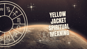 Yellow Jacket Spiritual Meaning