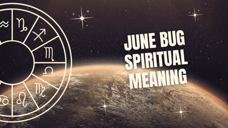 june bug spiritual meaning